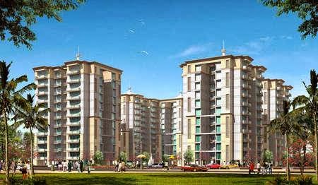 Greens New Project
